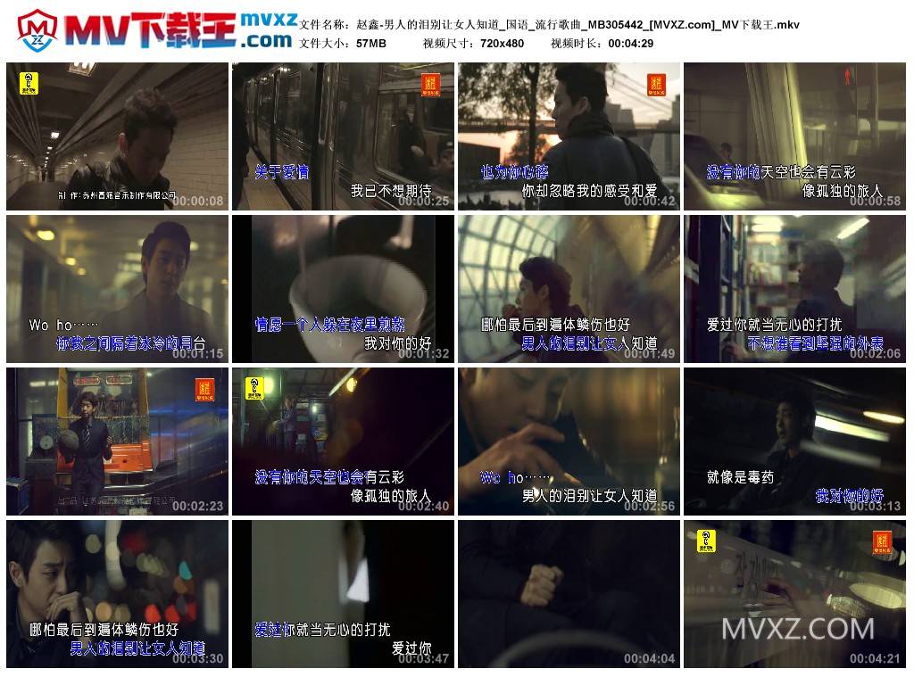 赵鑫-男人的泪别让女人知道_国语_流行歌曲_MB305442